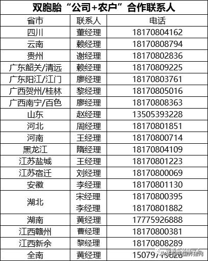 苗好、料好、服务好!全国养殖户都盯上了双胞胎的“公司+农户”