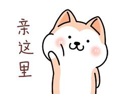 双11必买大牌好物,双11必买的小件