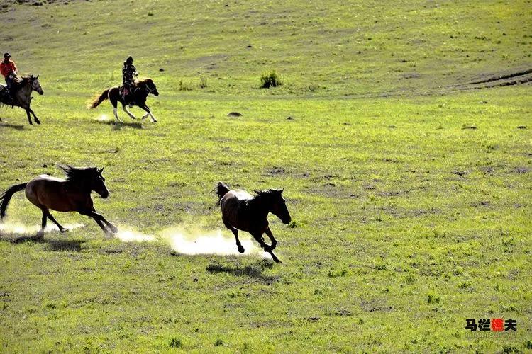 布里亚特牧民骑马摄影作品,草原蒙古族服饰摄影