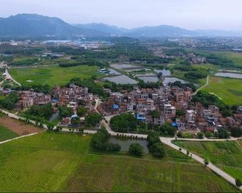 甯備簳椋庢儏杩樻槸甯備簳椋庡厜,甯備簳姘旀伅椋庢櫙