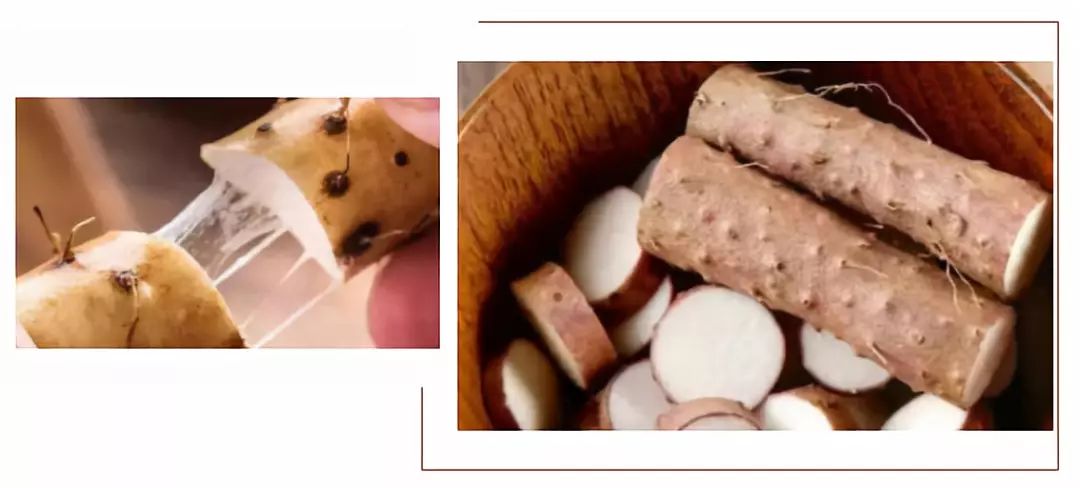 日本削土豆手套,去皮刮鱼鳞神奇手套