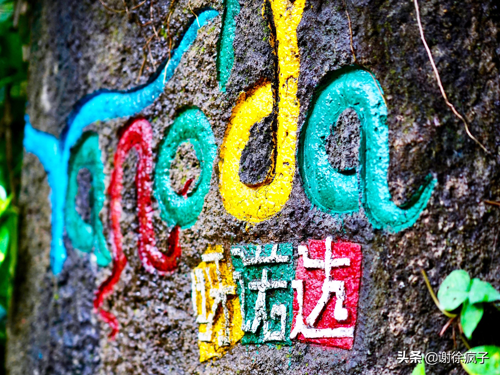 三亚呀诺达景区,三亚呀诺达热带森林公园位置