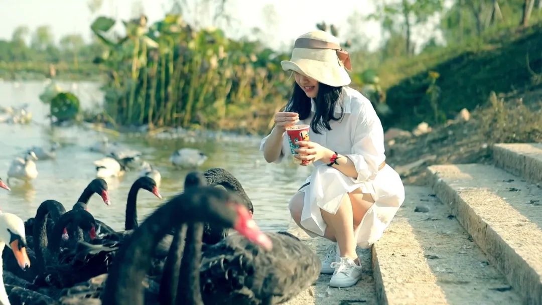 乘风破浪的姐姐们的真实感受,乘风破浪的姐姐们有多累