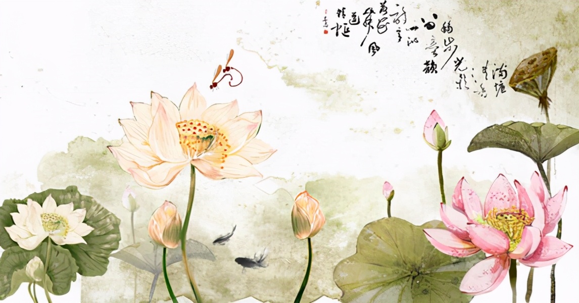 小学语文教资面试《荷花》教案+逐字稿