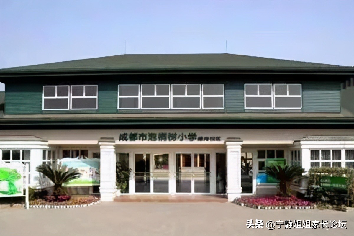 泡桐树小学分校排名,成都泡桐树小学境界分校