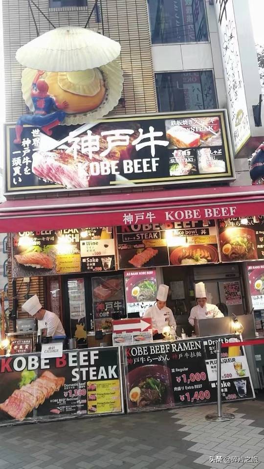 豪华游轮日本游旅游攻略,特价日本豪华游轮旅游攻略