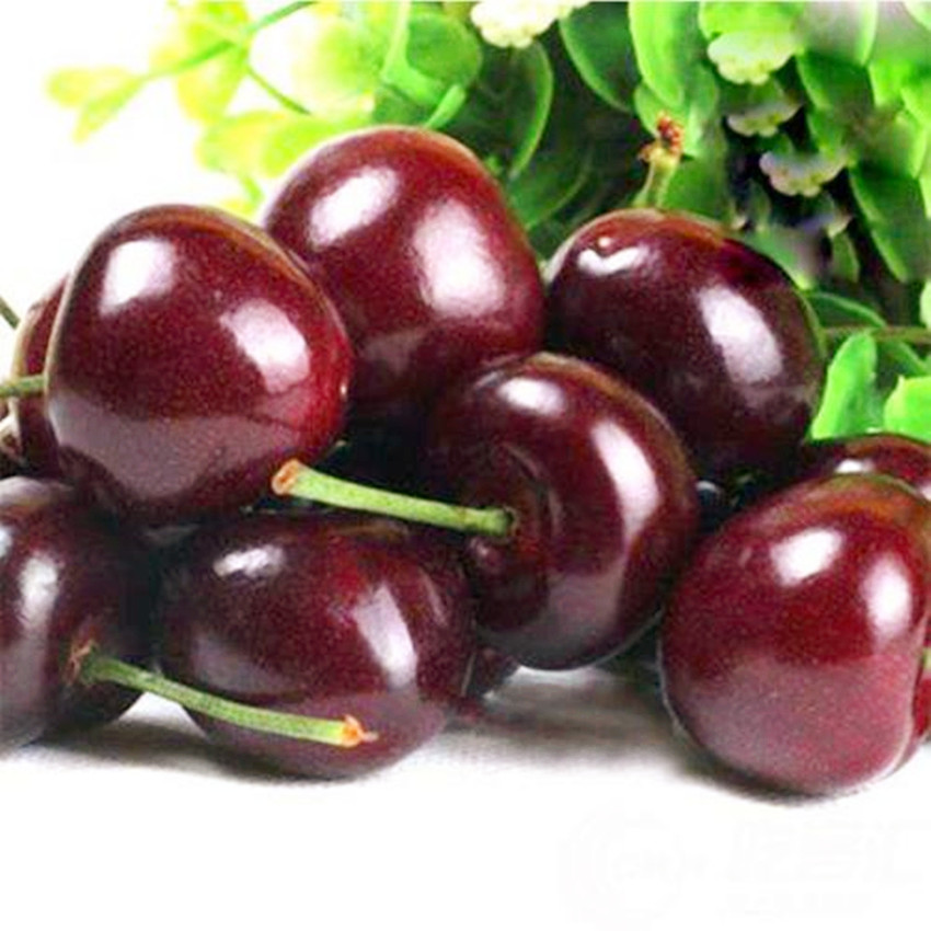 车厘子可以和苹果雪梨一起吃,车厘子成熟季节冬季