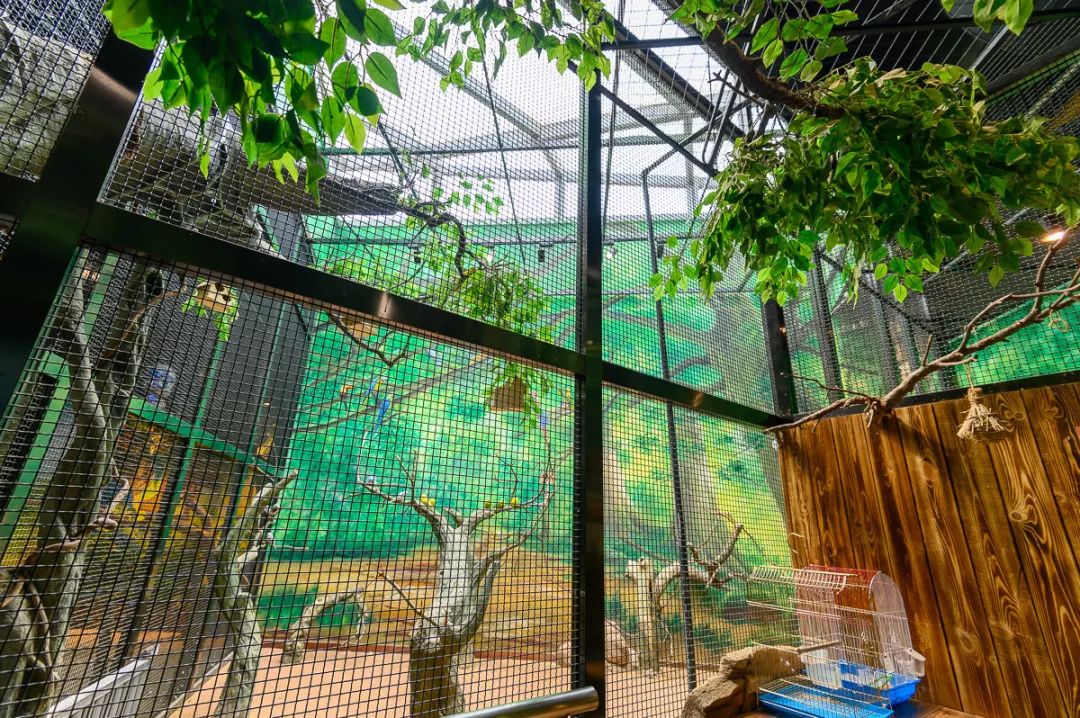 大连么么哒动物园 (大连小众动物园)