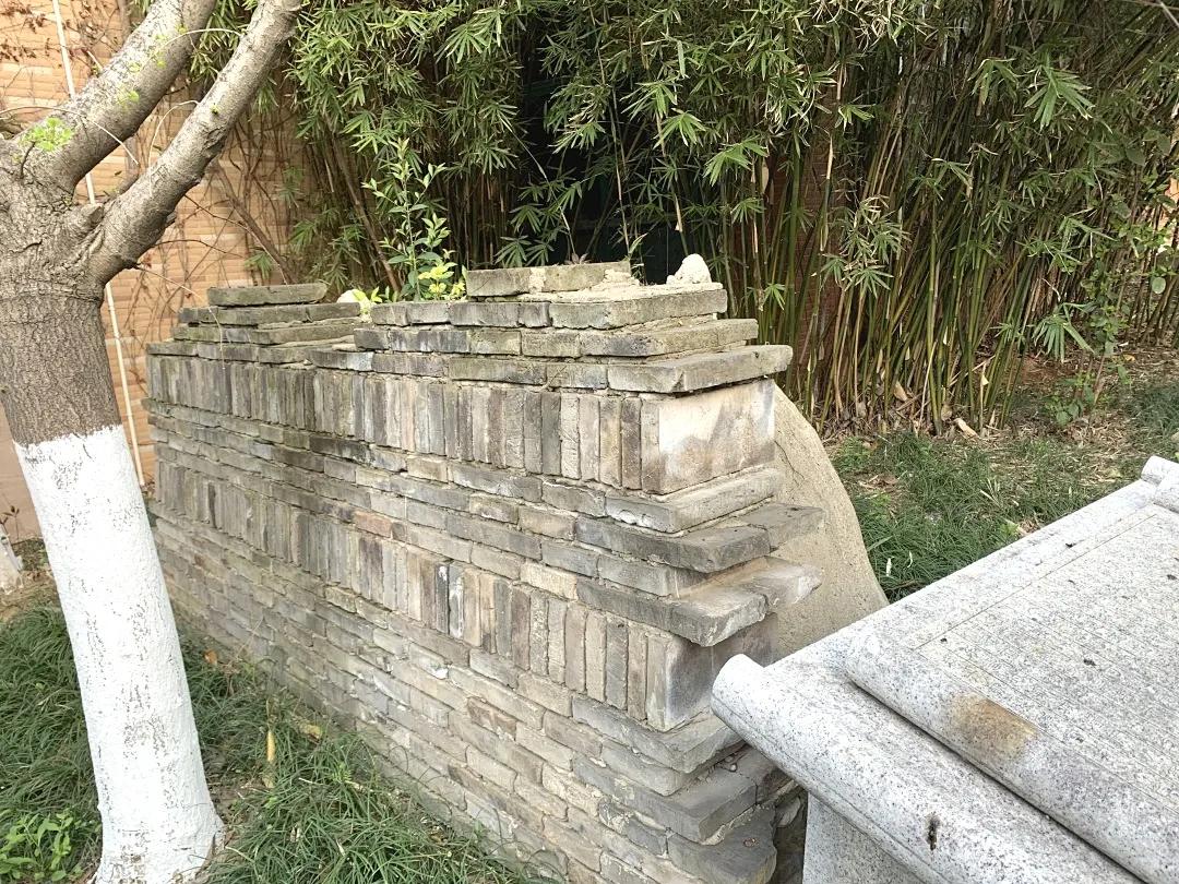 最美的风景美丽的校园,最美的风景就是校园