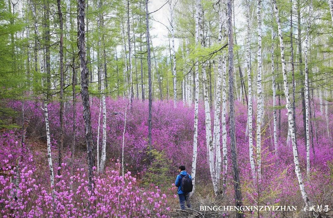 寻找中国最美的春季,探寻中国最美秘境