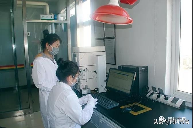 十大无抗饲料排名,绿色无抗饲料