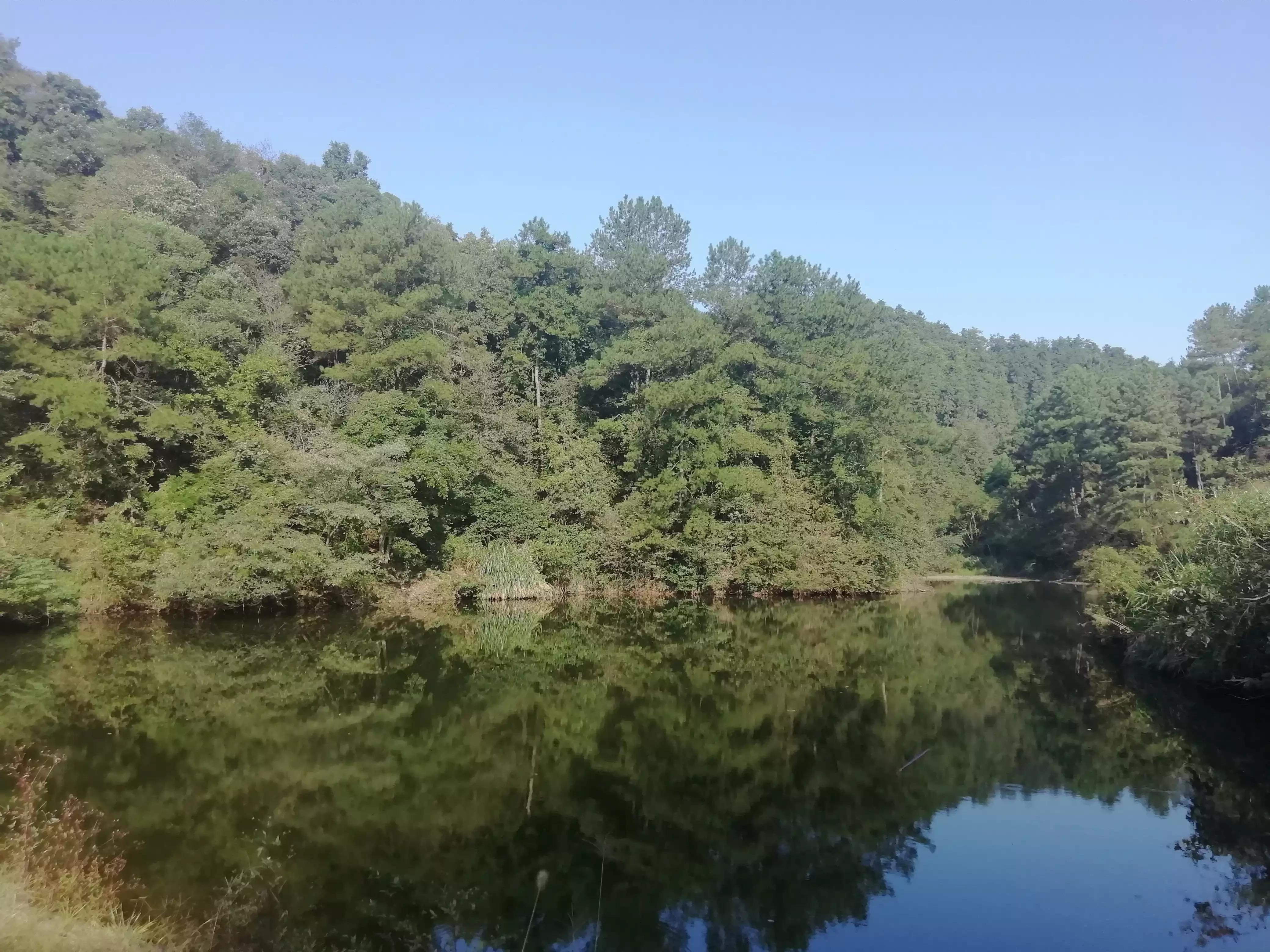 怎么样获得真正的自由？