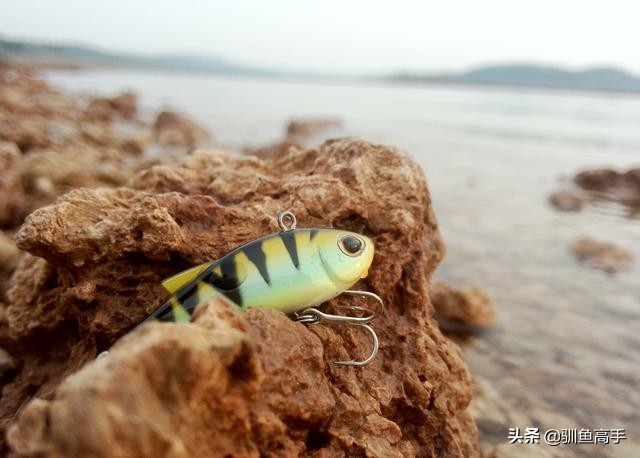 路亚赤眼鳟攻略,赤眼鳟路亚操作手法