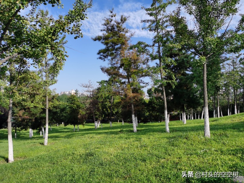 新生儿男女比例2023统计,新生植发