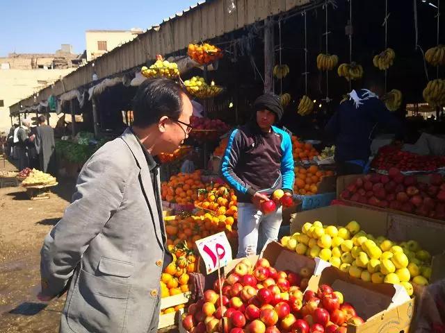 走进一带一路，实现优势互补，赴埃及种植业考察见闻