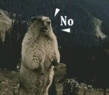 无线快充真的能用得到吗,无线快充为何需要动一下才可以