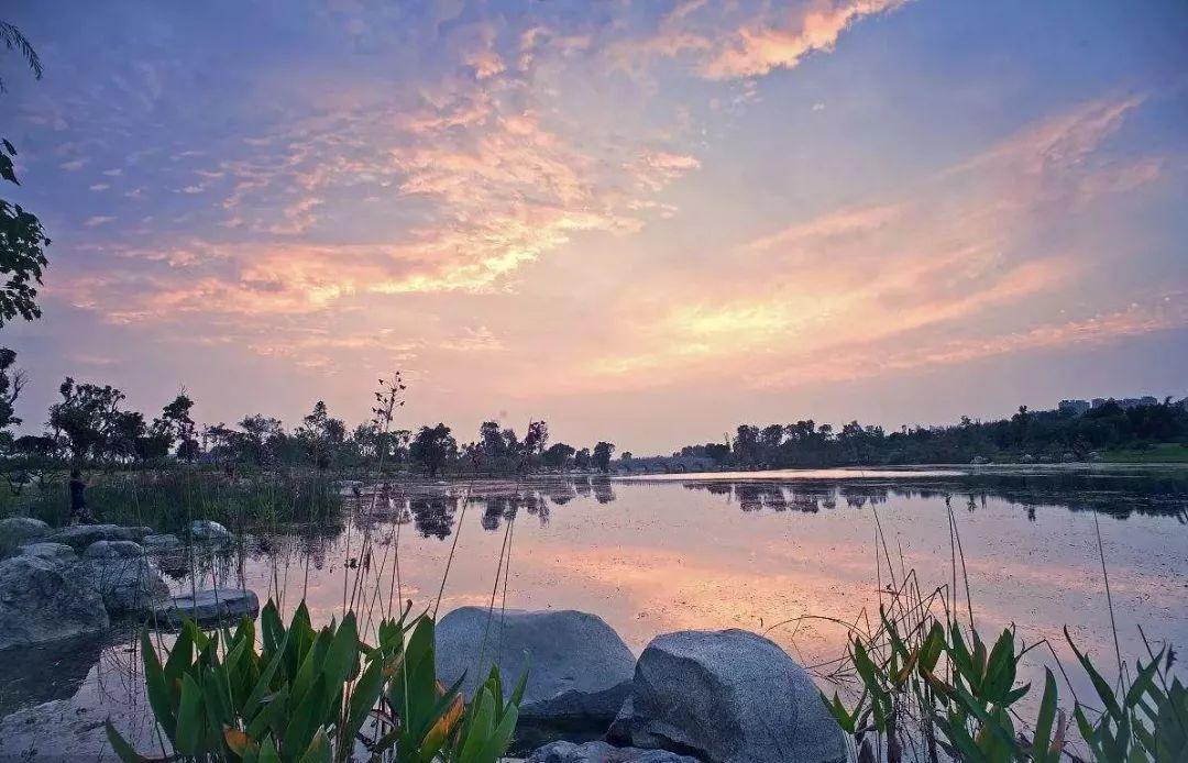 成都周边春季徒步旅游攻略,成都森林徒步旅游攻略