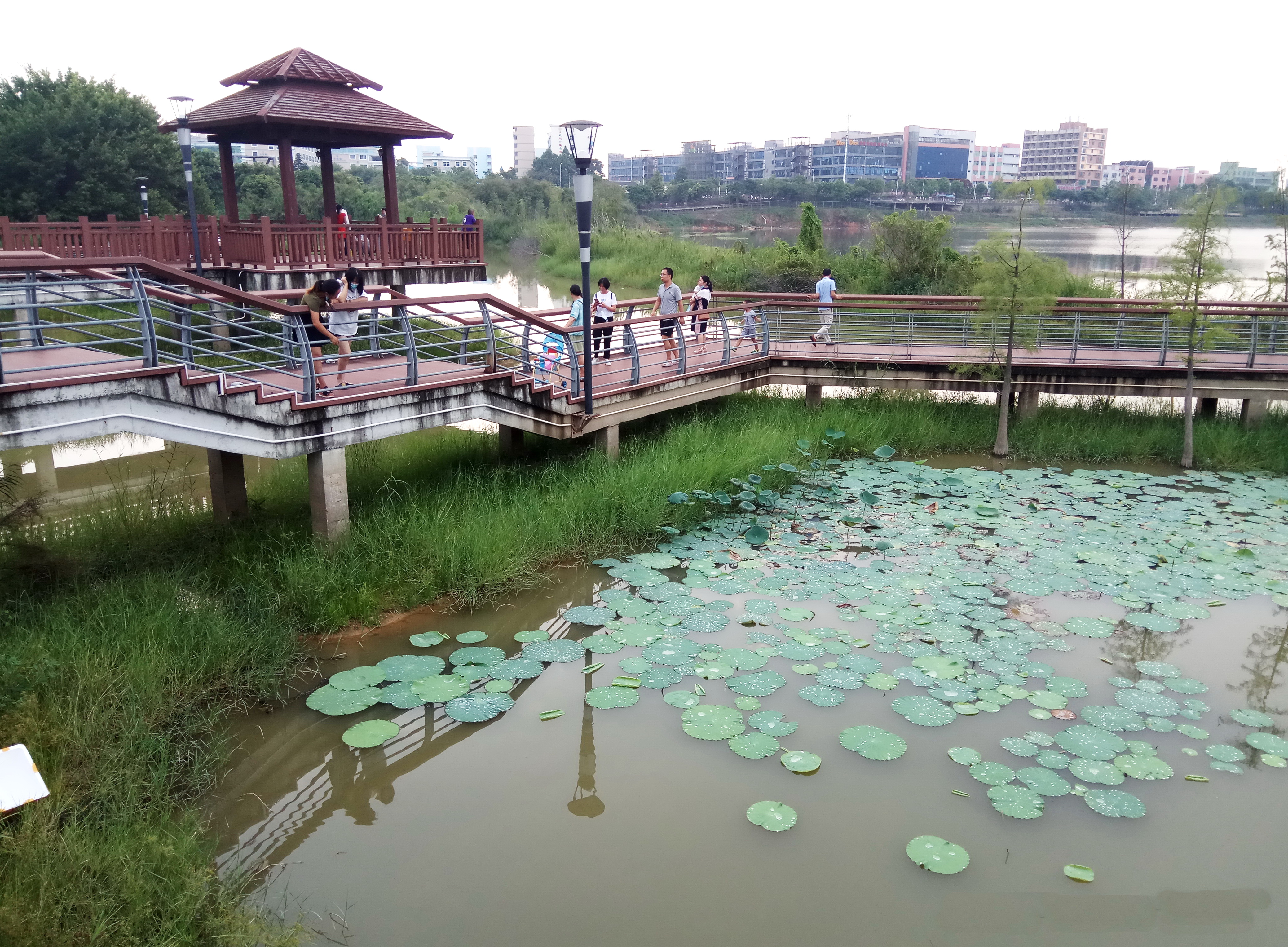 深圳半价保障房,深圳半价楼盘推荐