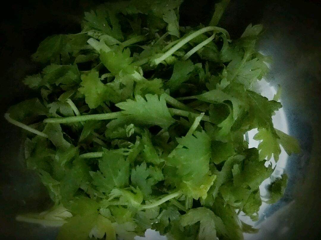 养殖绿萝为什么会黄叶子,绿萝出现黄叶怎么养