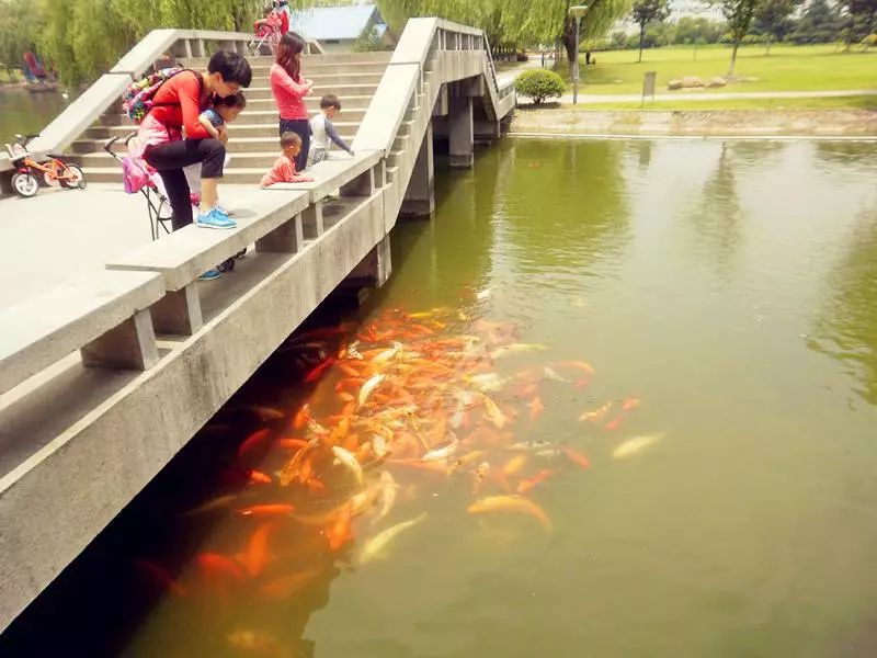 上海被低估的国际化学校,上海大学为啥被称为魔都良心大学