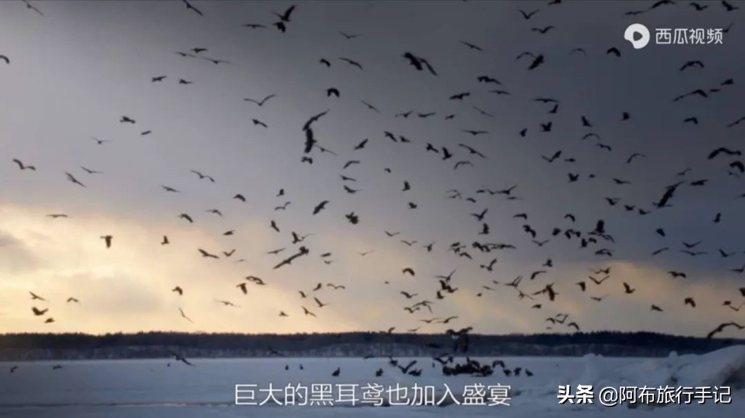 豆瓣9.1分看哭百万人,豆瓣评分9.0却很少有人看懂