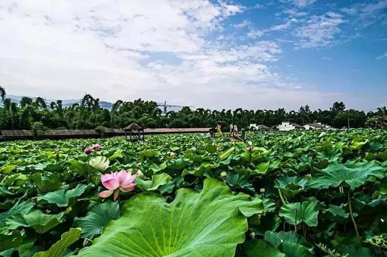 开州一个小县城,开州一座山水城市