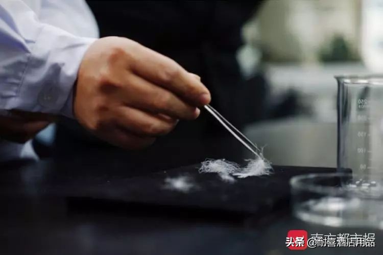 识别真假羽绒服视频,如何识别假羽绒