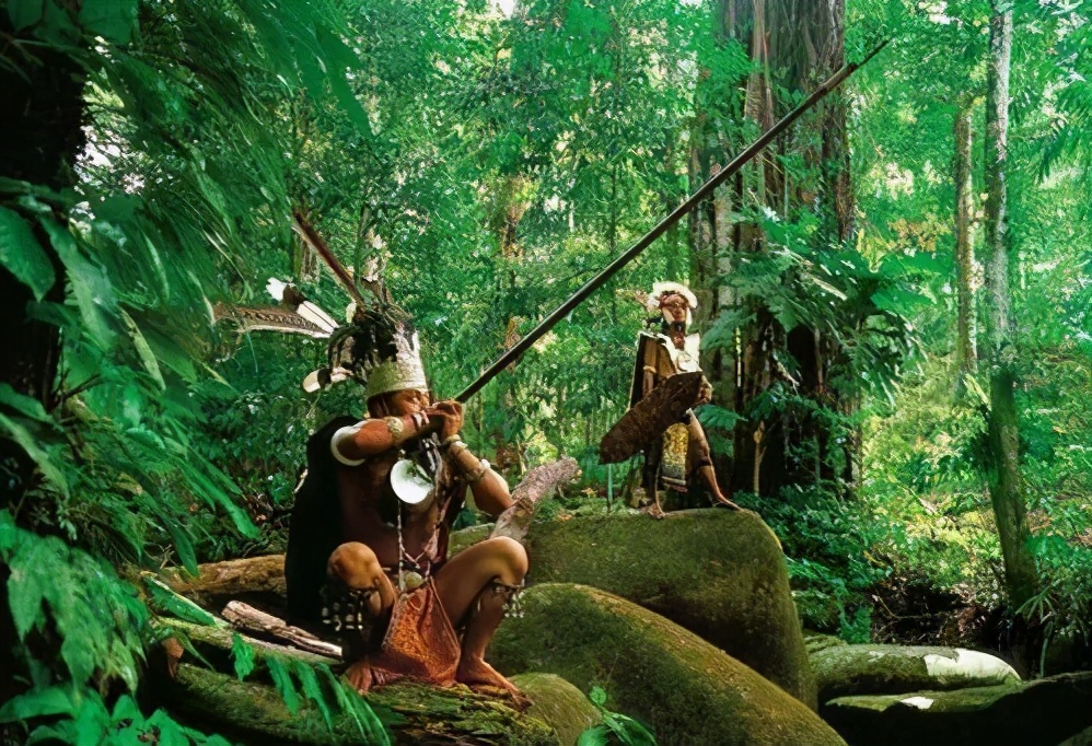 蜘蛛为什么在交配后吃掉配偶,蜘蛛繁殖会吃掉自己老公吗