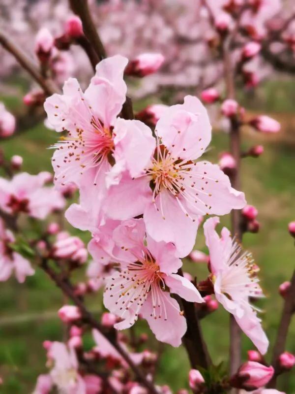 2022年世界手机摄影大赛征稿,手拍世界摄影网