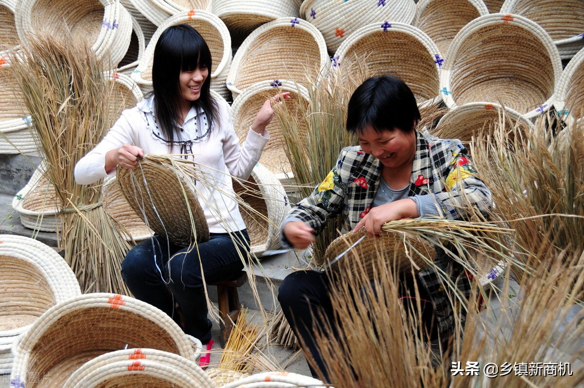 农民返乡创业有哪些好项目可以做,今年农村创业哪些项目最赚钱