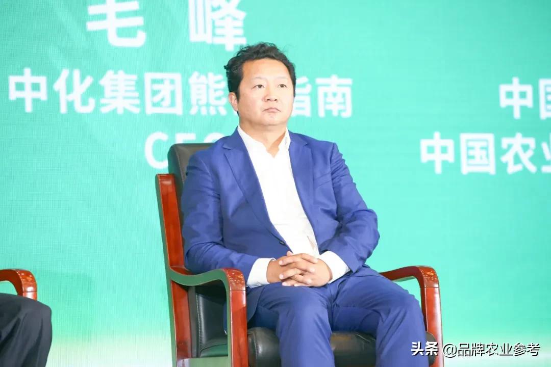 毛峰茶叶怎么分级,毛峰冲泡比例