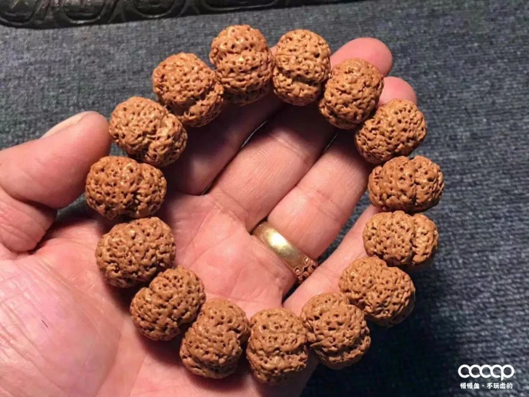 上万一条的药王籽火了后，很多尼泊尔树农大量从中国进药