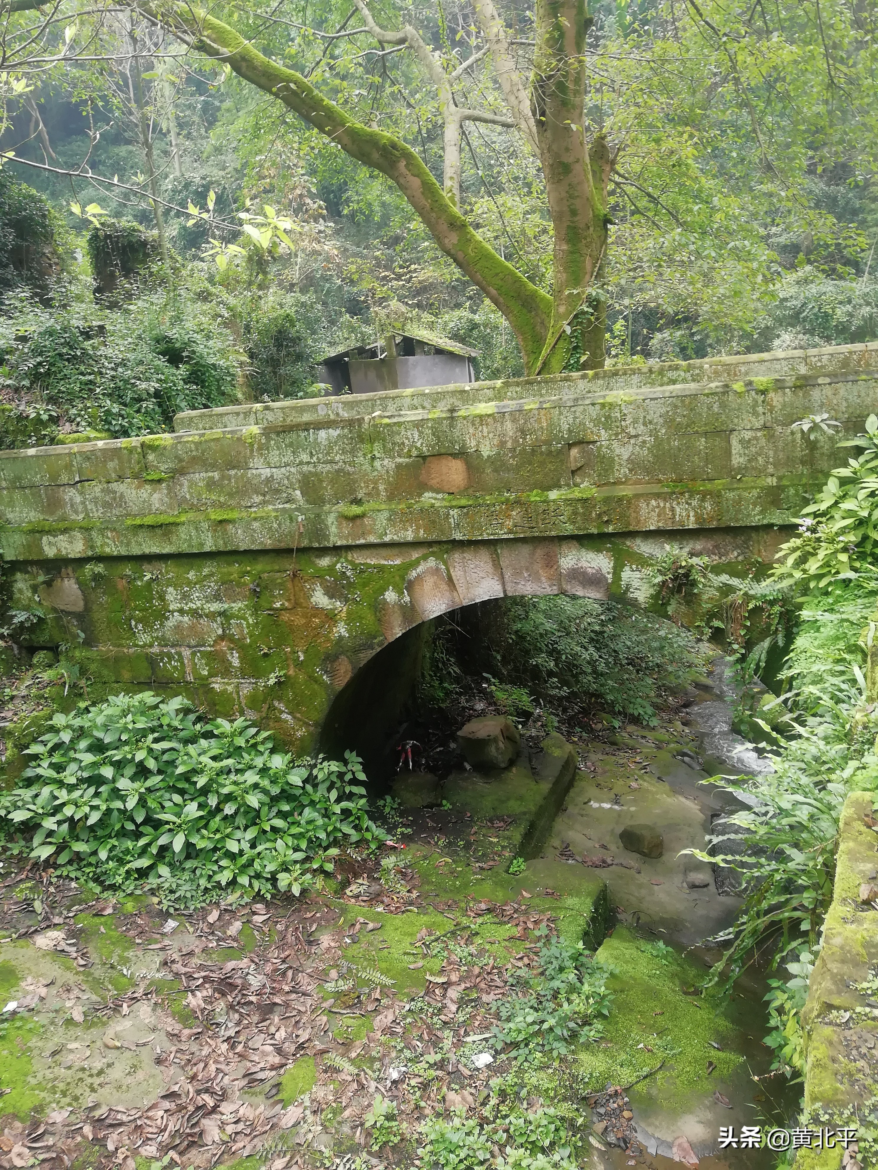 重庆爬山健身步道,重庆主城下雨都可以健身的步道