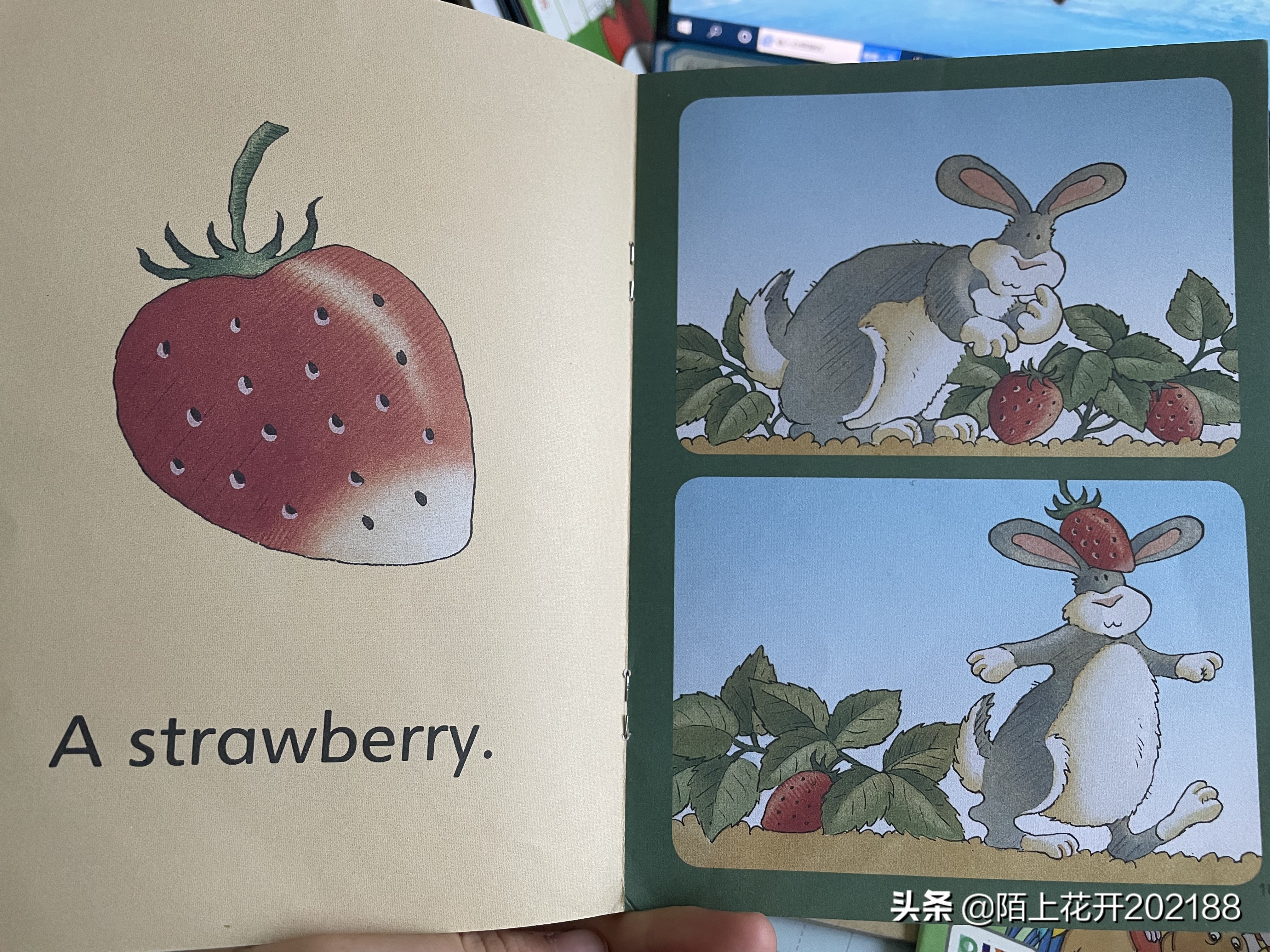 幼儿英语启蒙学习单词绘本,英语启蒙绘本4-6岁