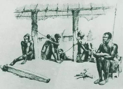 英国奴隶贸易的真相,英国奴隶贸易事件