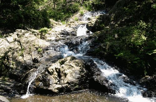 为什么女生尿尿需要纸巾擦，而男生不用？不能学男生抖抖吗？