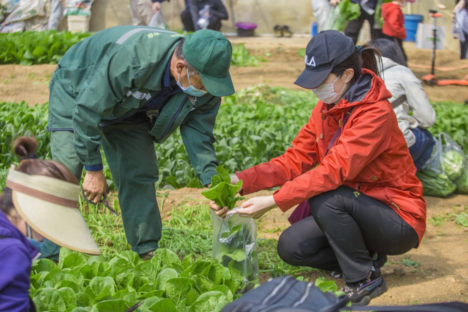 三寰牧场启动春耕节，别样活动促进后疫情时期文旅经济复苏。