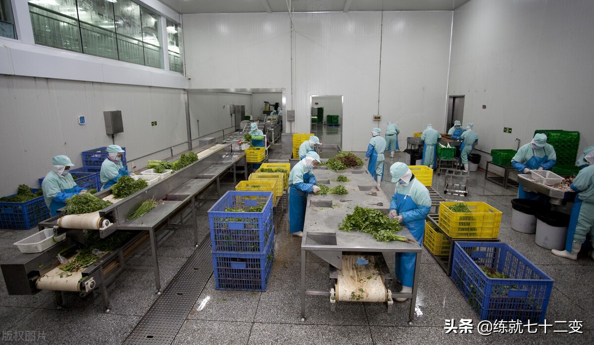 蔬菜配送公司需要哪些条件,蔬菜配送生意经营模式