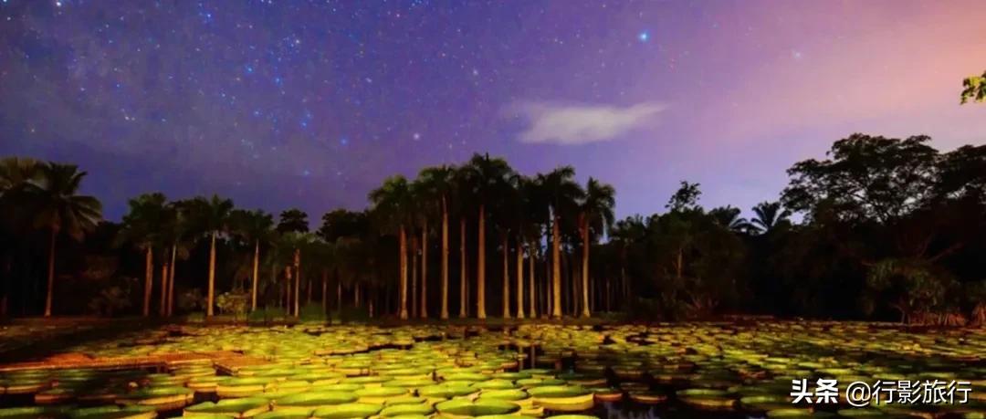 介绍一下云南的西双版纳,云南西双版纳的介绍景点