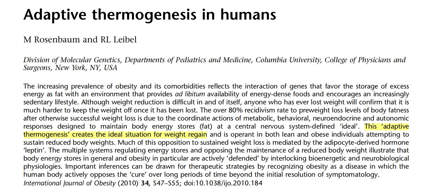 减脂时肚子上的脂肪最难减,减脂期小腹脂肪怎么也减不下去了