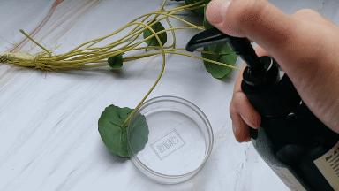 乱花渐欲迷人眼好在哪里,乱花渐欲迷人眼怎么样