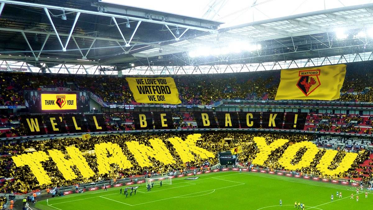 沃特福德表现低迷,沃特福德新赛季阵容