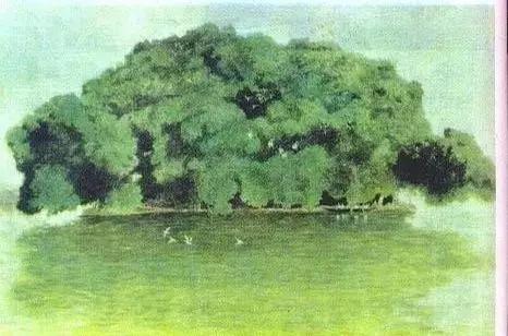 8090的童年回忆语文课本,8090后小学语文课本大全