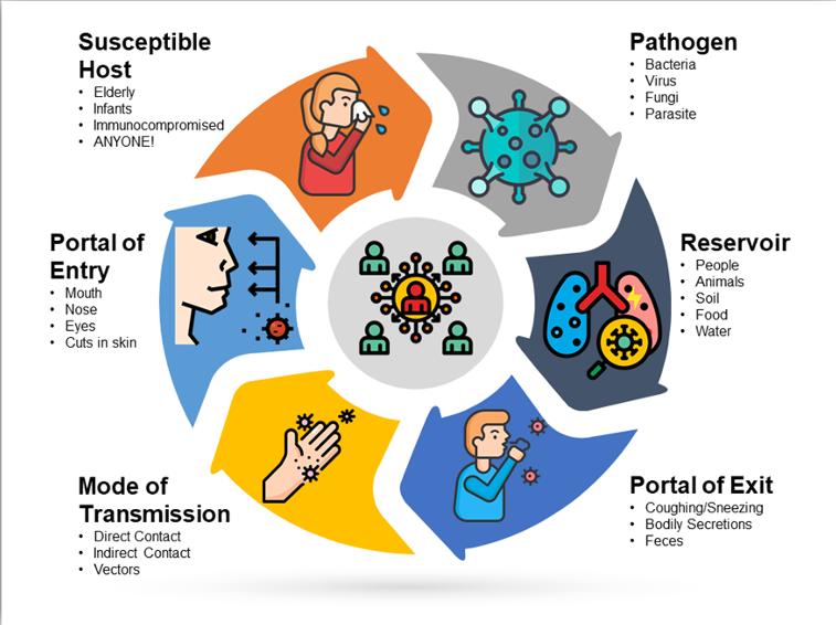洗虾扎伤手老人被迫截肢保命,老人洗虾手指遭刺保命