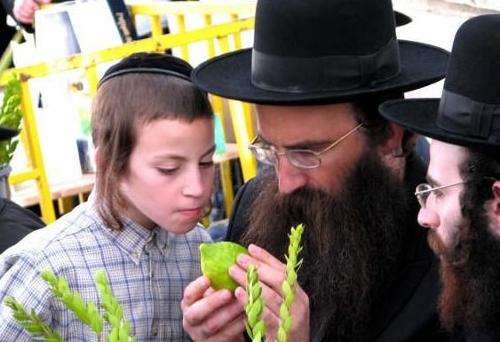 犹太人是怎么从小教育孩子的,世界最聪明的人种排名犹太人