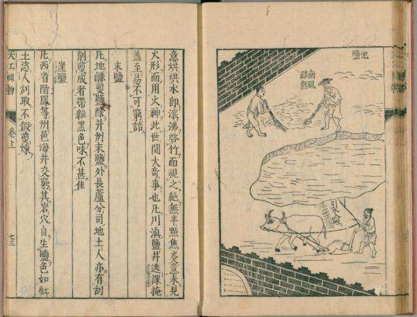 我们日常吃的盐是什么盐,我们日常食用盐的种类