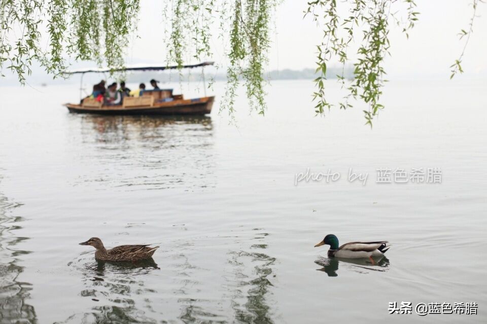 江南美景怎么拍照才好看,最美江南水乡迷人秋色照片