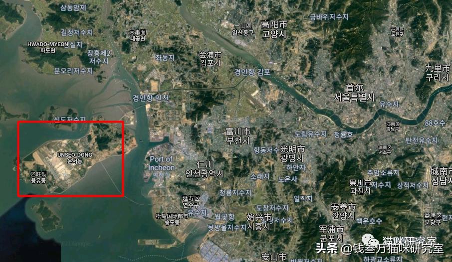 为什么会选择进口猫粮呢,为什么都说进口猫粮好