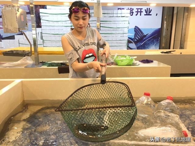 中国海鲜地图,中国海鲜最多地区