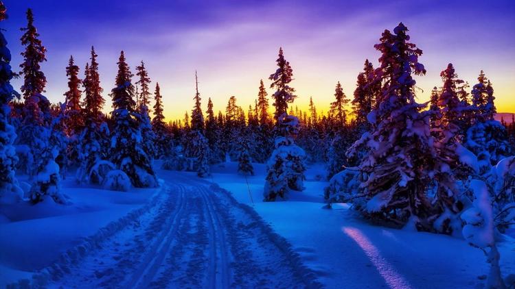 女人眼中的男人最有魅力的职业,什么职业最有面子